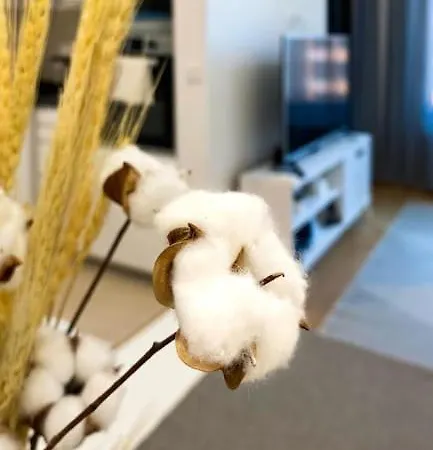 Riverfront Fortress * Belgrad